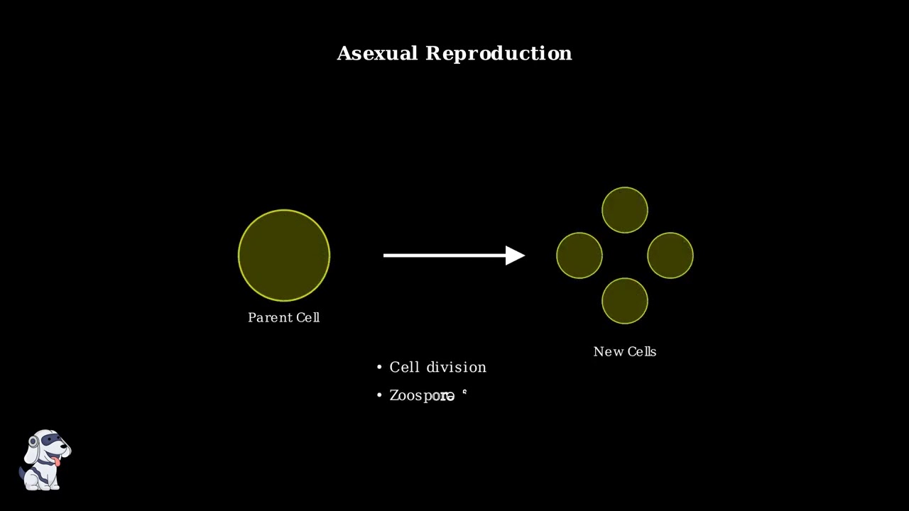 11 Types of Algae With their example 3 youtube thumb