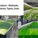 Algal Cultivation - Methods, Factors, Feature, Types, Uses 4 Algal Cultivation - Methods, Factors, Feature, Types, Uses