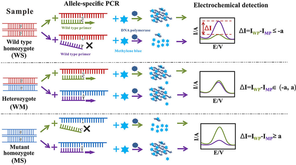 Allele-specific PCR