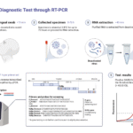COVID-19 Diagnostic Test through RT-PCR