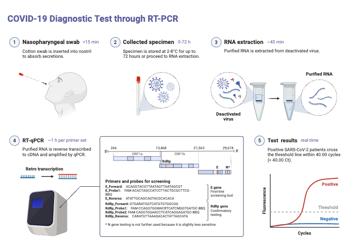 Reverse Transcription PCR (RT-PCR) - Principle, Steps, Applications 5 COVID-19 Diagnostic Test through RT-PCR