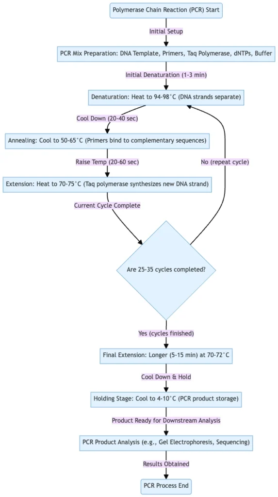 Polymerase Chain Reaction (PCR) - Definition, Steps, Principle, Application 1 Polymerase Chain Reaction (PCR)