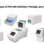 Types of PCR with Definition, Principle, and Uses