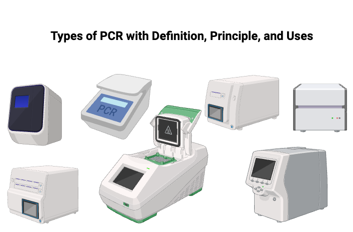 Types of PCR with Definition, Principle, and Uses 2 Types of PCR with Definition, Principle, and Uses