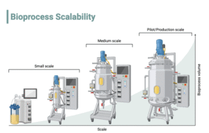 Bioreactor - Types, Design, Parts, Applications, Limitations - Biology ...