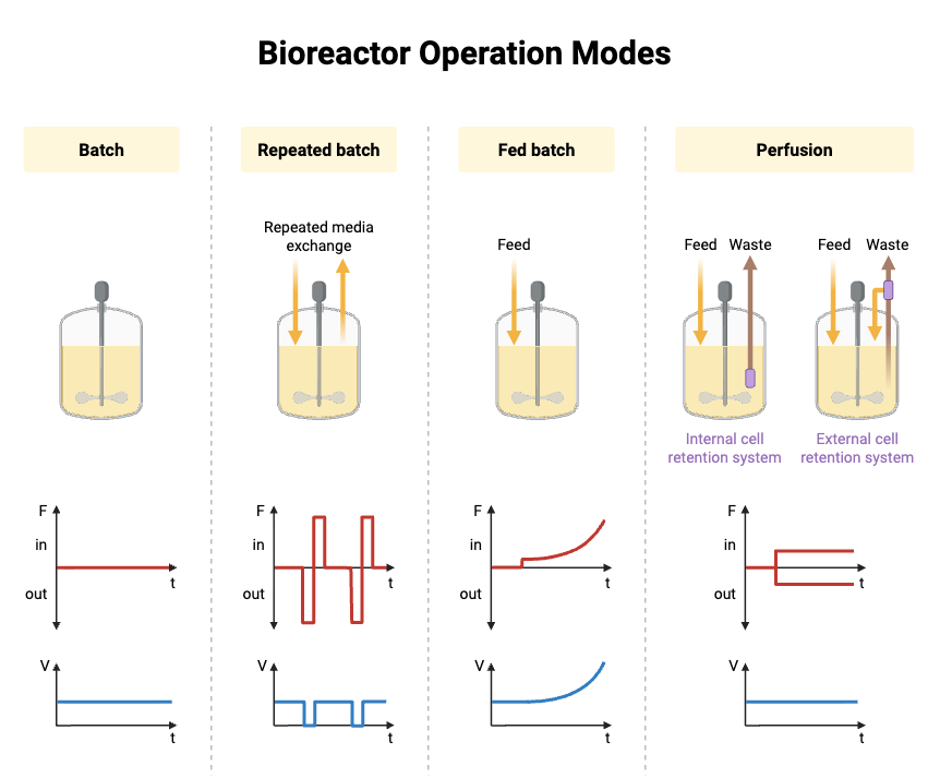Bioreactor Operation Modes