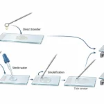 Workflow showing bacterial smear preparation from broth culture and agar colonies, followed by spreading and complete air-drying on glass slides.