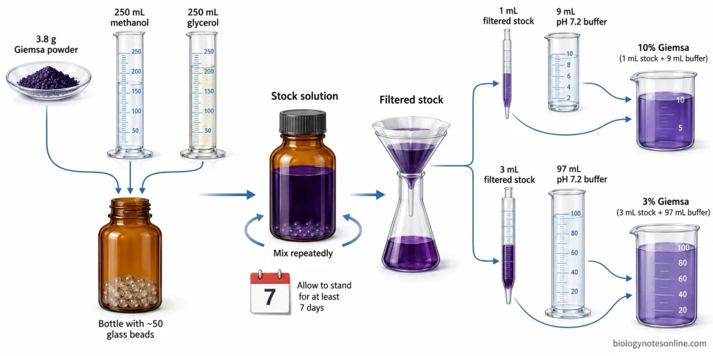 Giemsa stock solution is prepared using Giemsa powder, methanol, and glycerol. The filtered stock is diluted with phosphate-buffered water to prepare 10% or 3% working solutions for malaria blood-film staining.