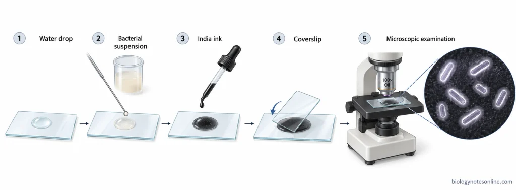 India ink negative staining wet-mount procedure showing bacterial suspension, India ink addition, coverslip placement, and capsule observation under a microscope.