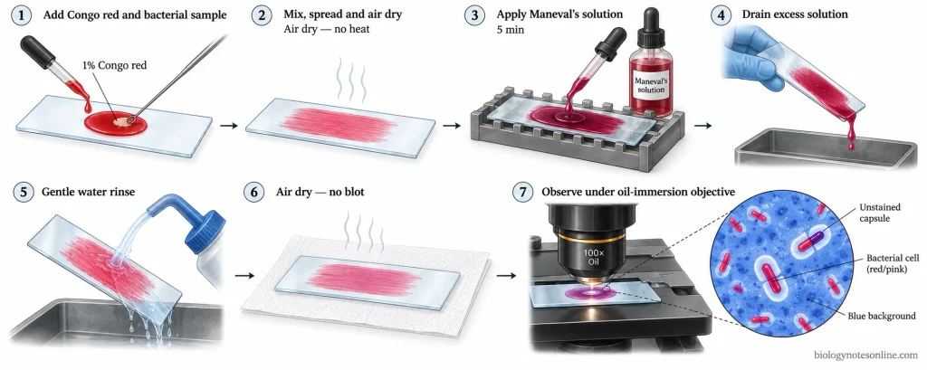 Maneval's capsule staining procedure showing Congo red preparation, Maneval's solution, gentle washing, air drying, and red bacterial cells with clear halos on a blue background.