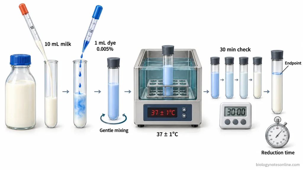 MBRT laboratory workflow showing 10 mL milk, addition of 1 mL methylene blue dye, gentle mixing, incubation at 37°C and observation of decolourization.