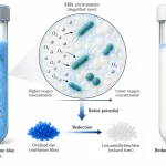 Diagram of bacterial oxygen consumption in milk, reduced redox potential and conversion of blue methylene blue to colourless leucomethylene blue.