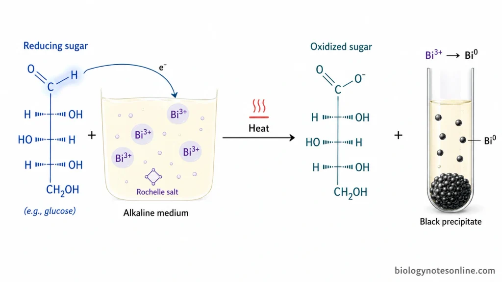 Redox mechanism of Nylander’s test showing a reducing sugar oxidized while Bi³⁺ is reduced to black metallic bismuth in alkaline solution.