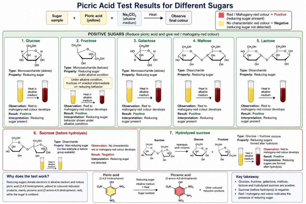 Diagram showing Picric Acid Test Results for Different Sugars