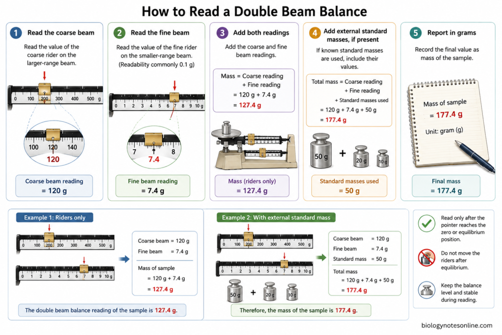 Diagram showing How to Read a Double Beam Balance