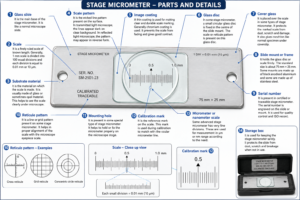 Stage Micrometer Principle Types Parts Procedure Applications stage-micrometer-principle-types-parts-procedure-applications