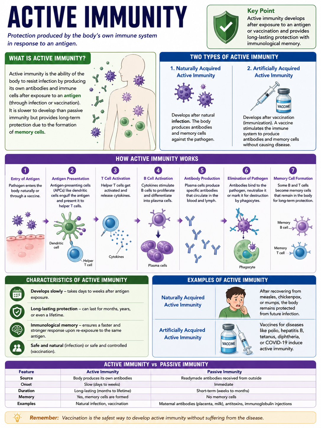 Immunity Examples Active Immunity - Definition, Characteristics, Types, Examples