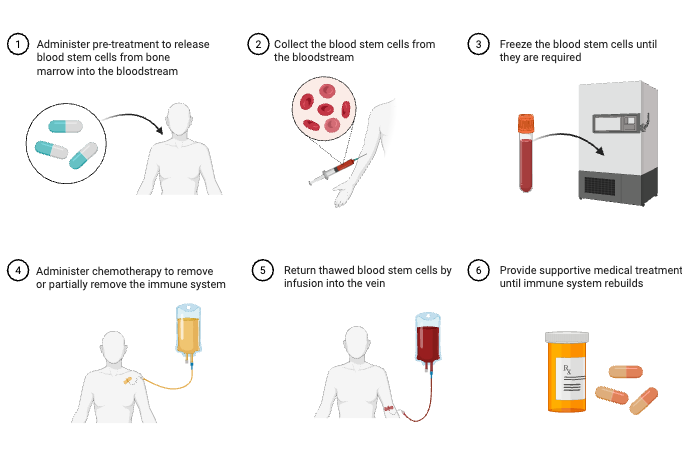 Autologous Haematopoietic Stem Cell Transplant