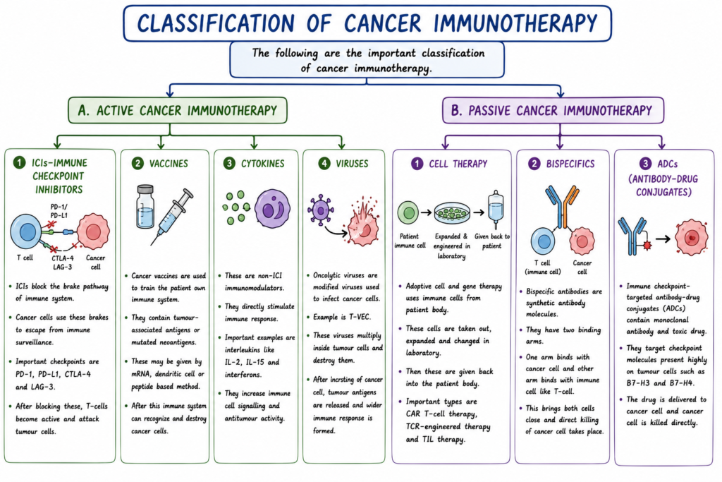Cancer Immunotherapy - Definition, Types, Applications 2 Classification of Cancer Immunotherapy