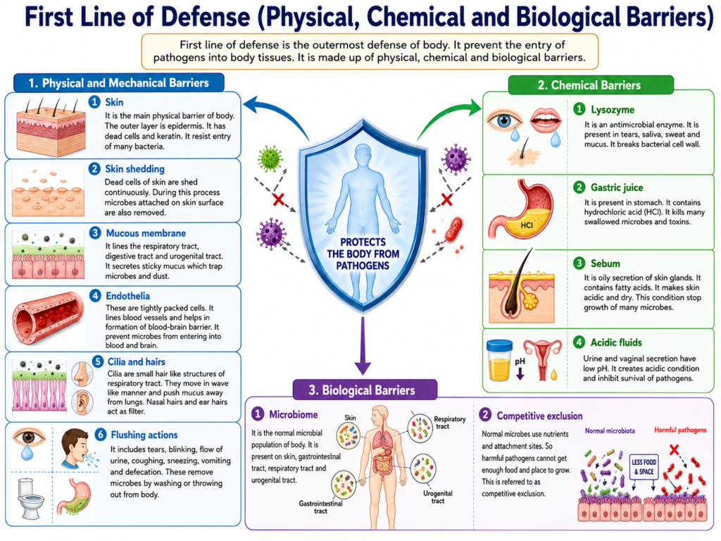 First Line of Defense (Physical, Chemical and Biological Barriers)