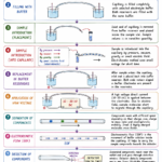 Procedure of Capillary Electrophoresis