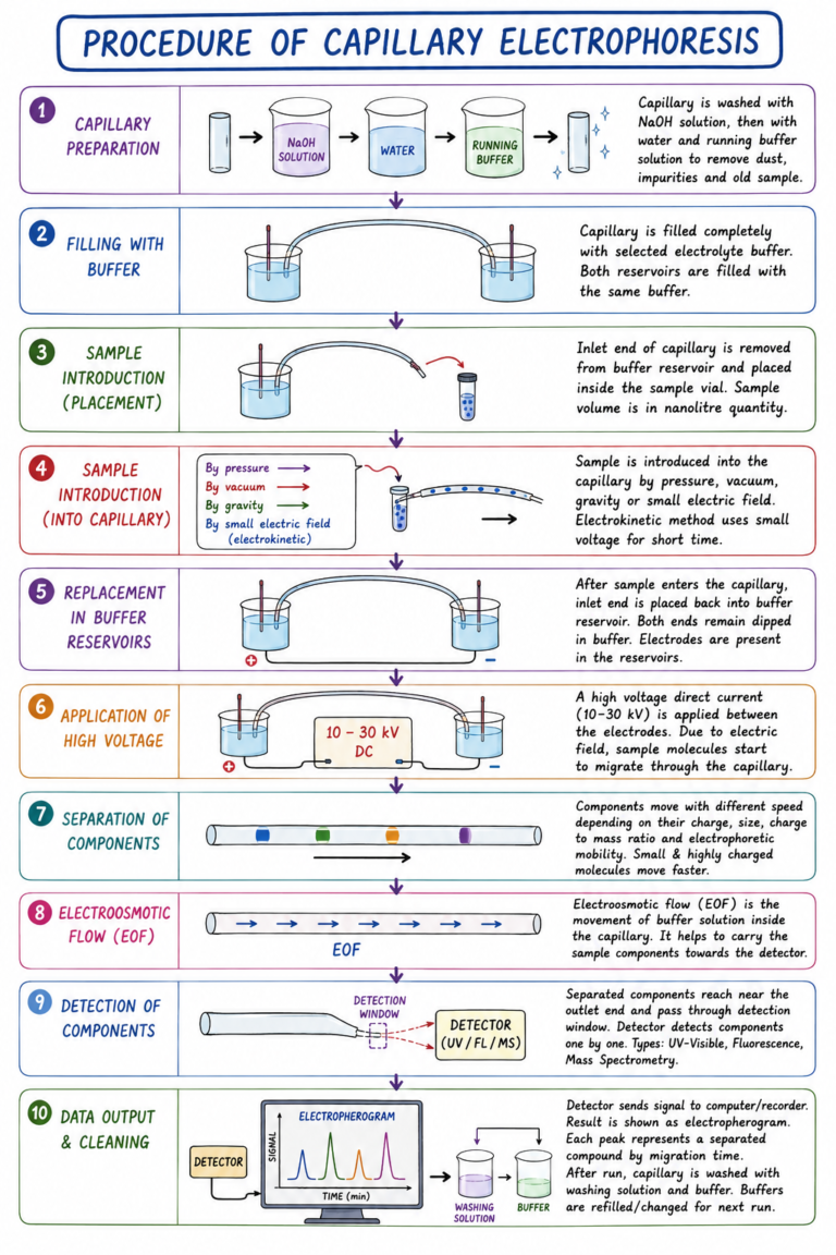 Procedure of Capillary Electrophoresis