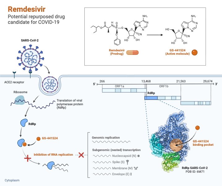 Remdesivir_ Potential Repurposed Drug Candidate for COVID-19