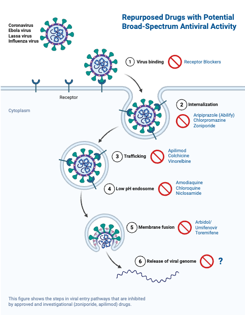Repurposed Drugs with Broad-Spectrum Antiviral Activity