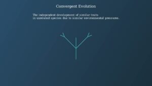 Phylogeny Explained – Tracing Life’s Evolutionary Roots