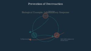 Negative Feedback – The Biological Balancing Act