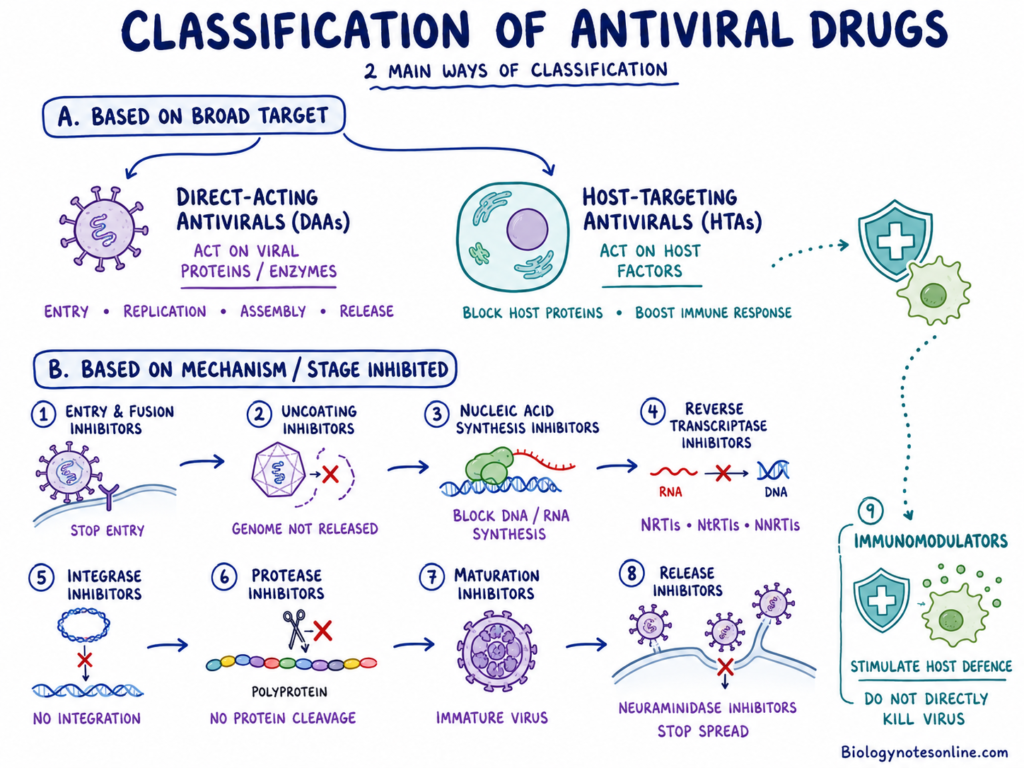 Classification of Antiviral Drug