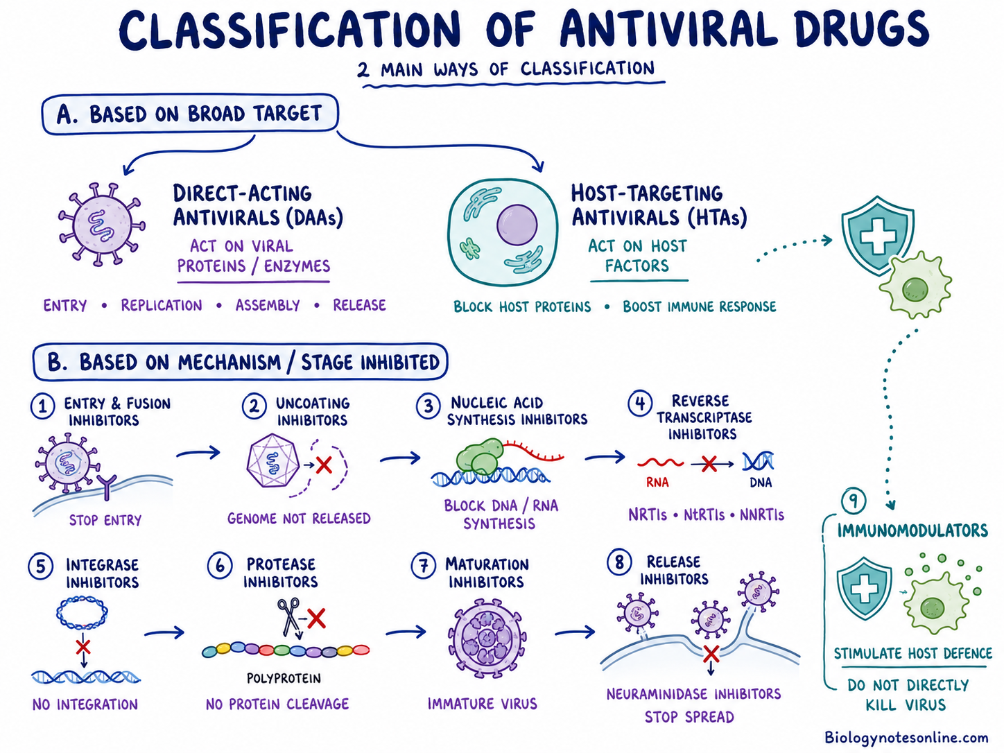 Antiviral Drug - Classification, Mode of Action, Examples