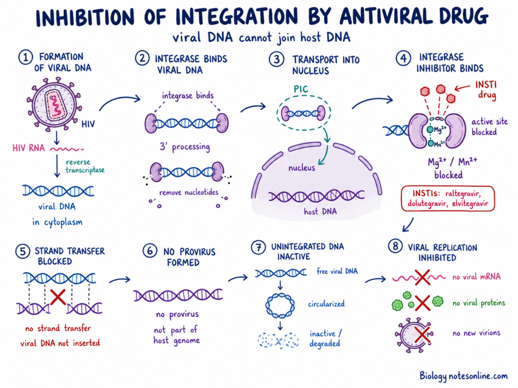 Inhibition of Integration by Antiviral Drug