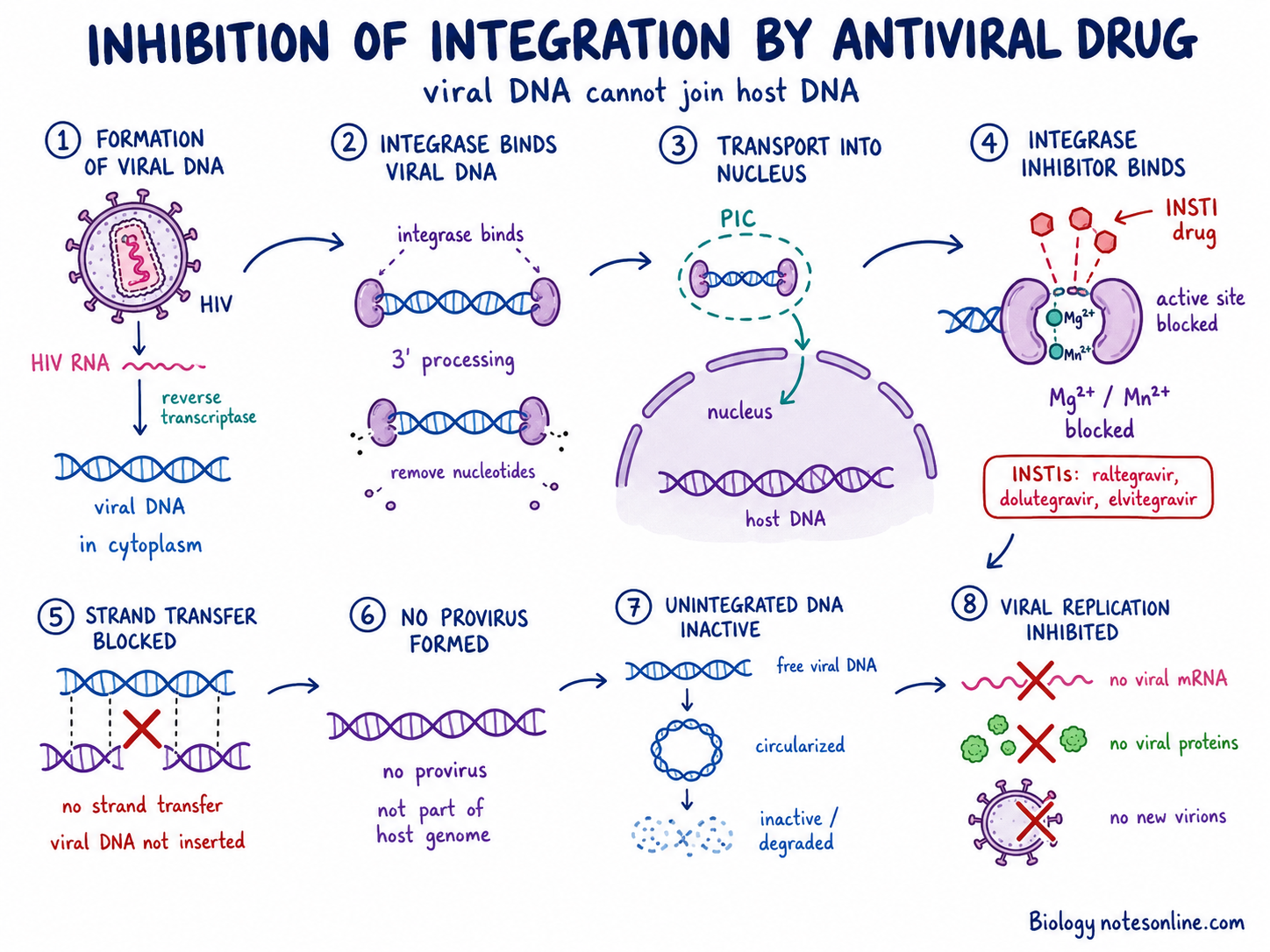 Antiviral Drug - Classification, Mode of Action, Examples