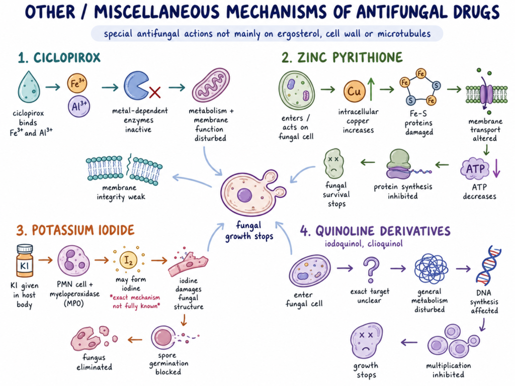 Other/Miscellaneous Mechanisms by Antifungal Drug
