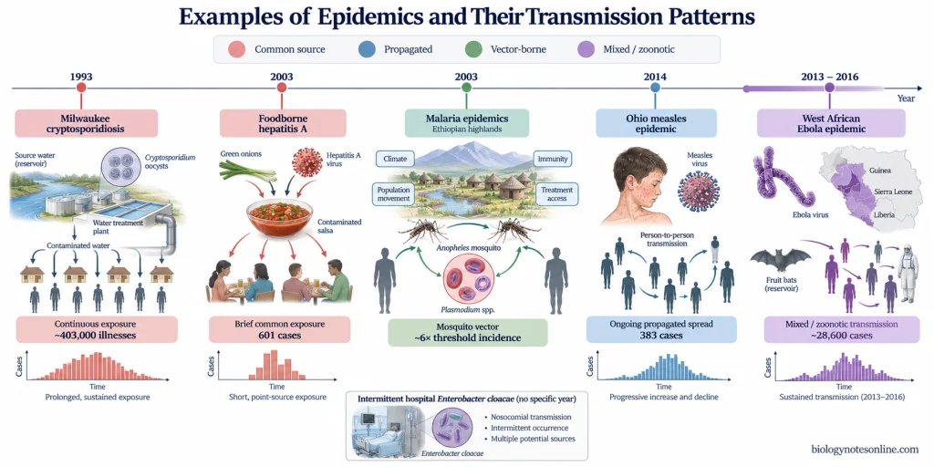 Examples and Types of Epidemics: Common-Source, Propagated, Vector-Borne, and Zoonotic