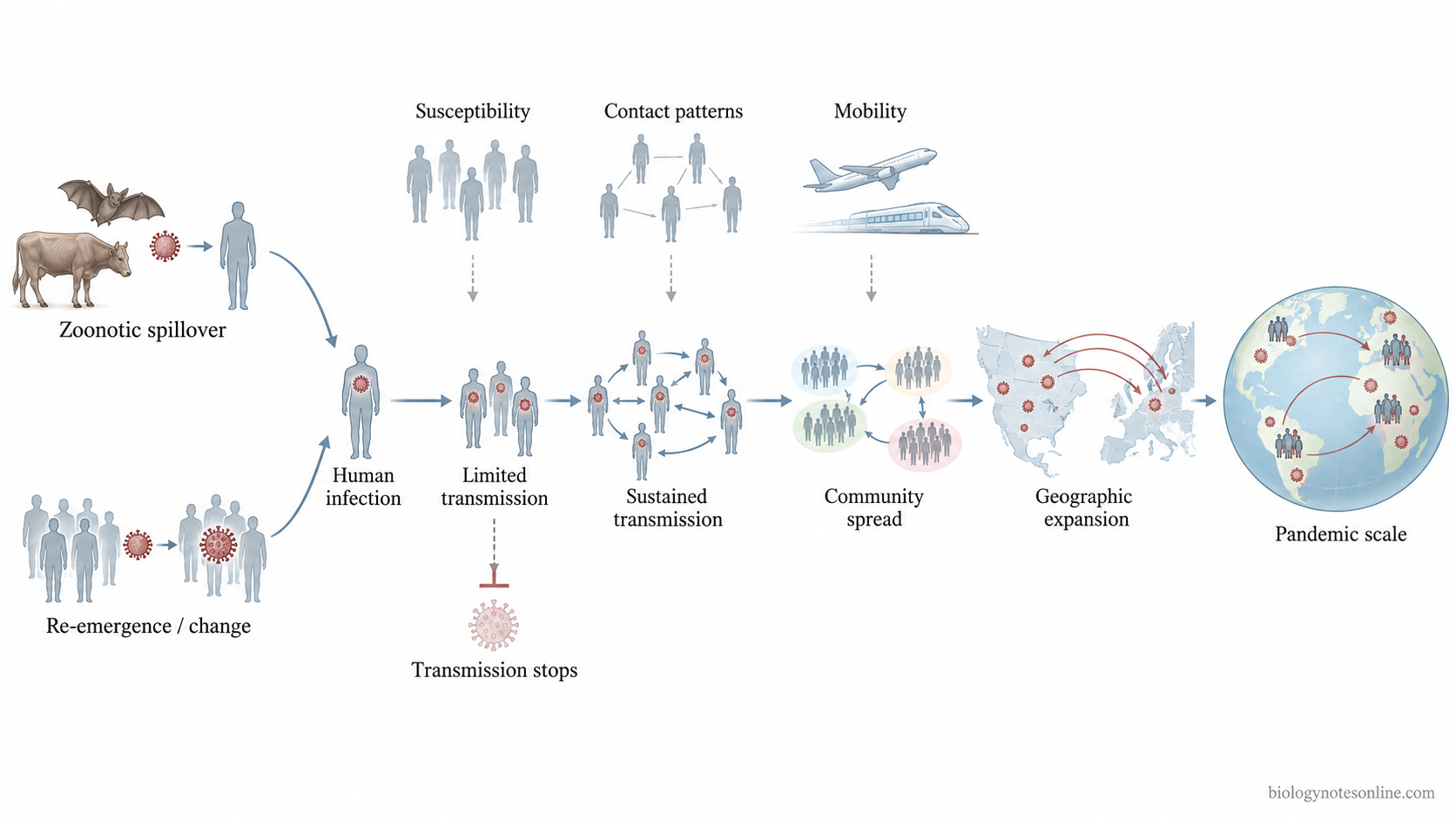 Pathway showing pathogen emergence, limited infections, sustained human-to-human transmission, community spread, and expansion across countries to pandemic scale.