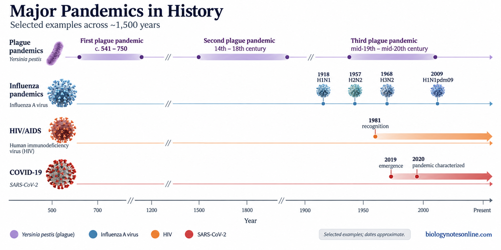 Pandemic: Definition, Spread, Examples, and Prevention 4 Timeline of selected plague, influenza, HIV/AIDS, and COVID-19 pandemics from the sixth century to the twenty-first century.