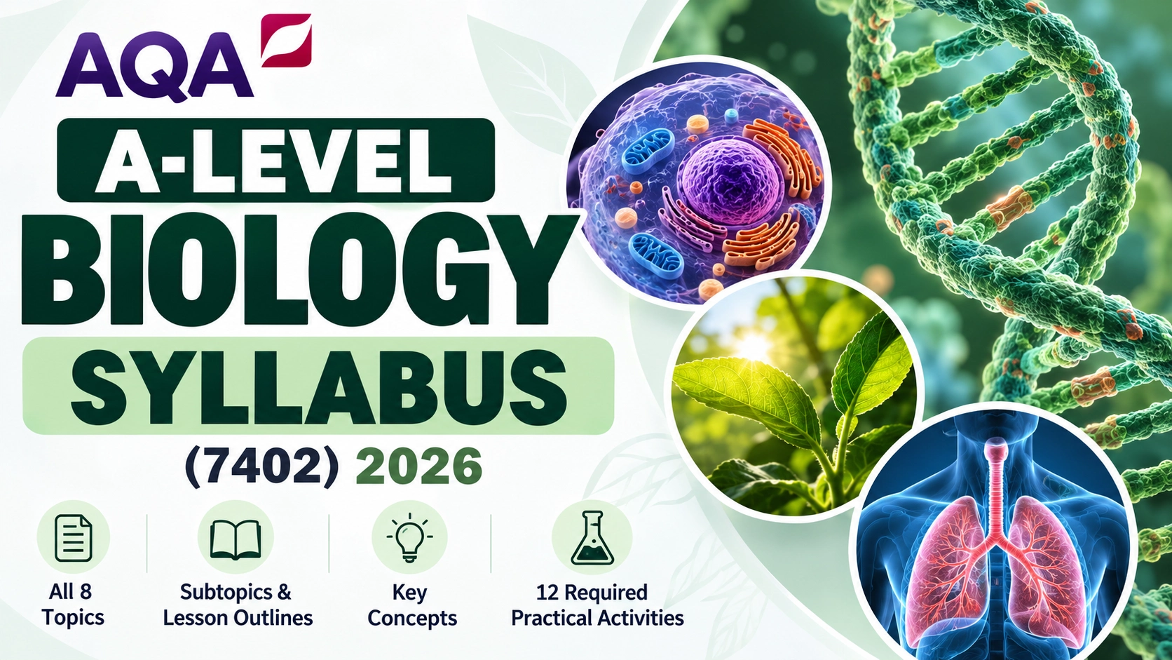 AQA A-Level Biology Syllabus
