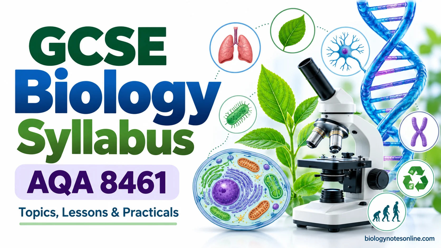 GCSE Biology Syllabus (AQA 8461) – Topics and Lessons